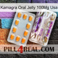 Kamagra Oral Jelly 100Mg Usa new12